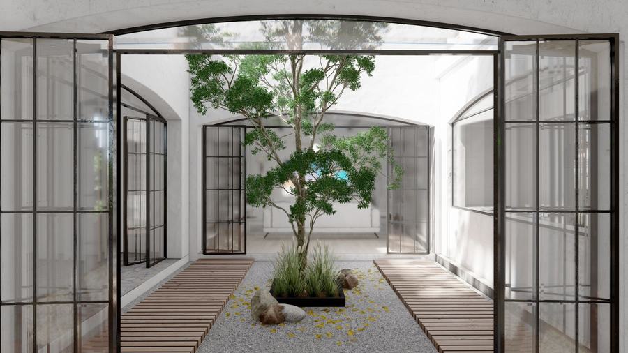 Courtyard with specimen tree